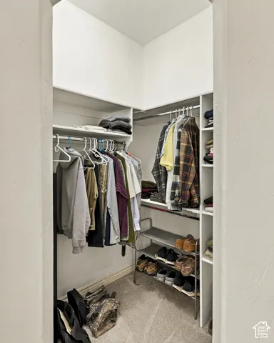 Walk-in closet featuring white built-in shelving, integrated hanging rods, and carpeted flooring