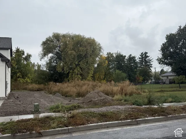 Vacant lot featuring concrete curbing, mature trees, and established perimeter fencing