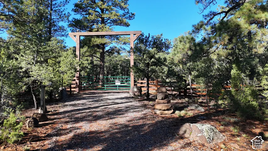 Gravel drive featuring a wooden structural entryway, metal gate, wood-slat fencing, and dense evergreen tree cover