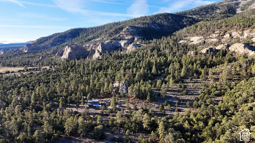 Expansive mountainous terrain featuring dense evergreen forest, exposed rock formations, and varied topography