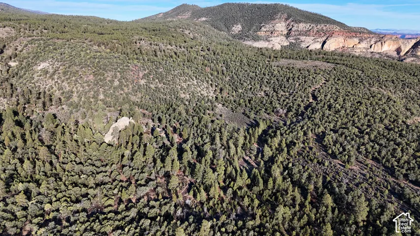 Expansive acreage featuring dense evergreen timber, varied natural topography, and a prominent mountain backdrop