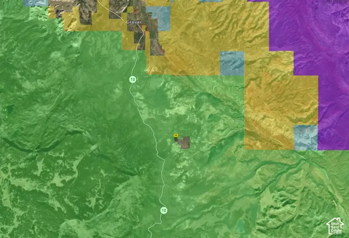 Land Survey Map. Illustrating the regional boundaries and geographical context of the property
