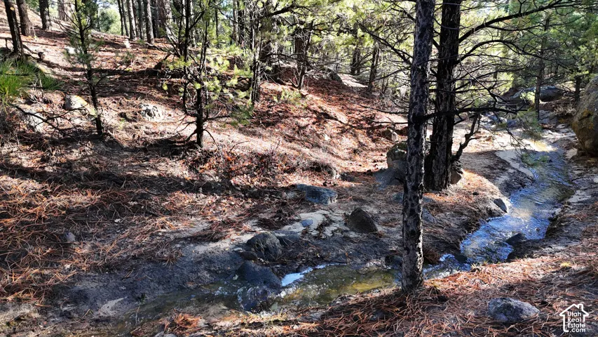 Natural landscape featuring mature pine trees, native rock outcroppings, and a winding creek bed