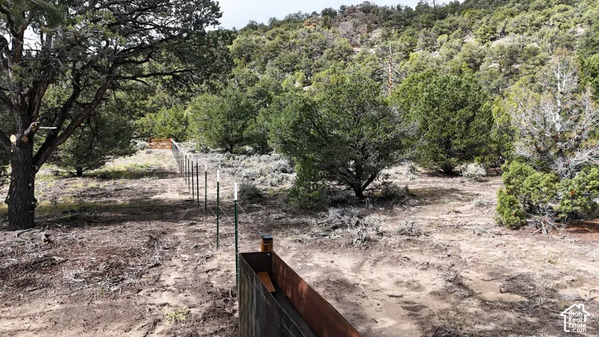 Expansive natural terrain featuring mature juniper trees and wire fencing