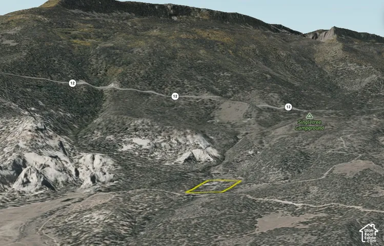 Land Survey Map. Aerial satellite perspective indicating the boundary lines of the property