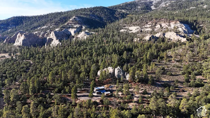 Expansive mountain backdrop featuring dense pine forest surroundings, natural rock formations, and elevated topography