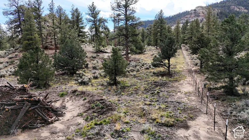 Expansive lot featuring mature evergreen trees, native sagebrush, mountainous terrain, and perimeter wire fencing