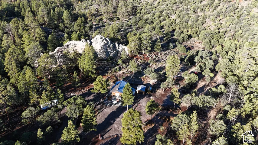 Aerial perspective of a remote property nestled in a dense pine forest, featuring natural rock outcroppings, expansive grounds, and a metal-roof structure
