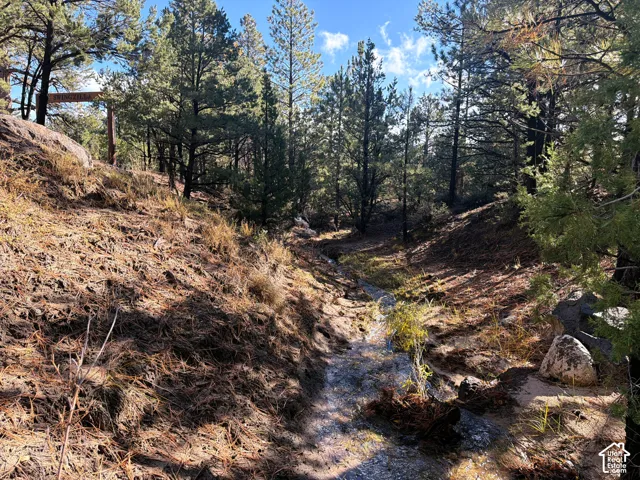 Natural landscape featuring a seasonal stream, mature pine trees, native grasses, and rocky terrain