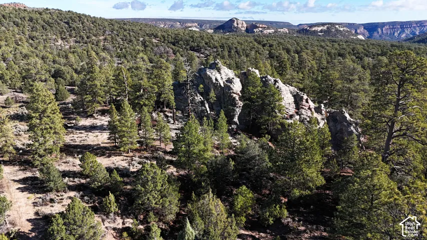 Expansive acreage featuring natural rock formations, mature coniferous trees, and rugged terrain