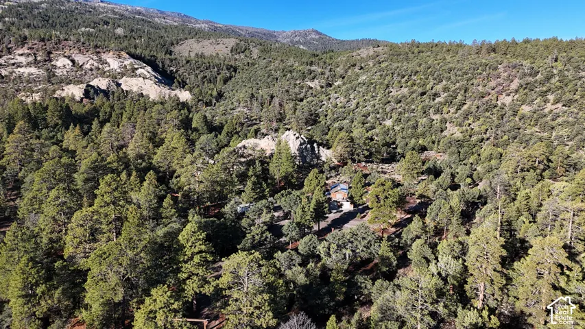 Aerial perspective of a wooded hillside property featuring dense pine forest coverage, prominent rock outcroppings, and mountainous terrain