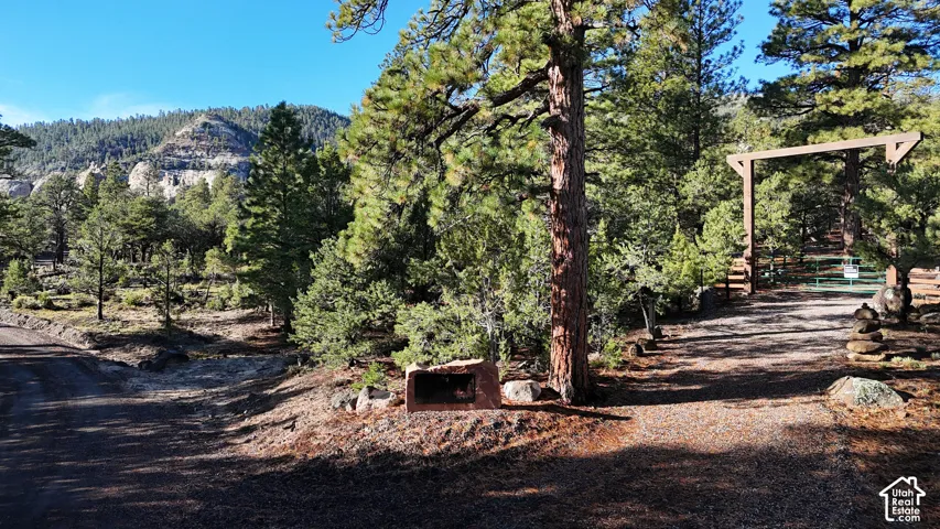 Wooded lot featuring mature pine trees, natural rock formations, and a timber-framed gated entrance