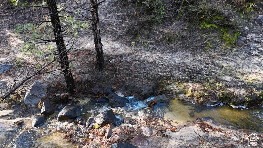 Natural brook featuring native rock formations, pine trees, and a sandy creek bed