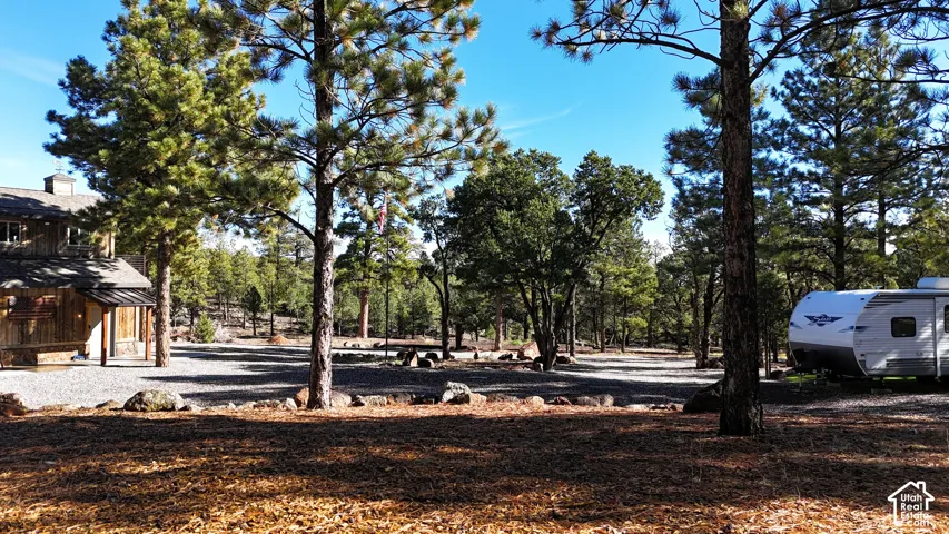 Expansive lot featuring mature pine trees, a gravel parking area, and a rustic wood-sided structure with a metal roof