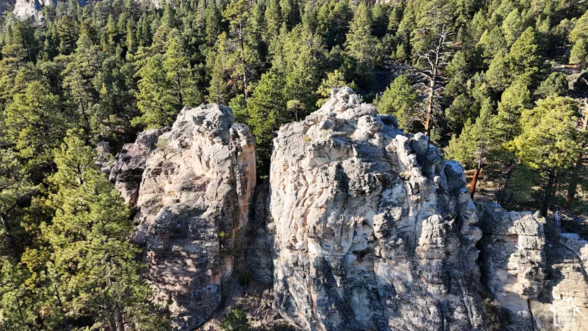 Rugged rock formations surrounded by dense coniferous forest