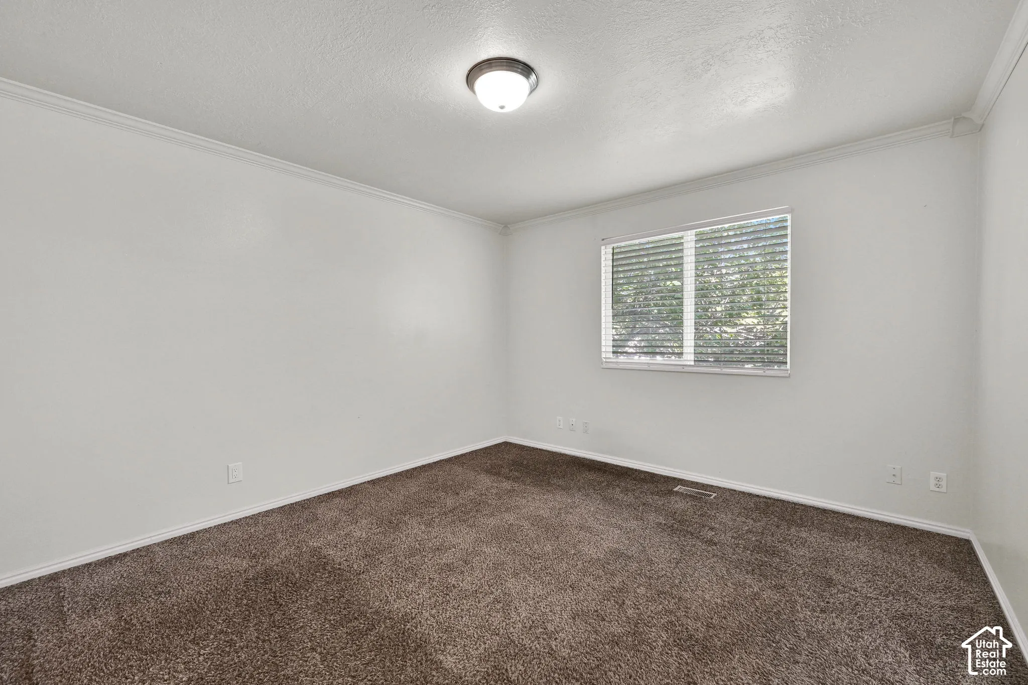 Room featuring neutral wall tones, plush wall-to-wall carpeting, crown molding, a flush-mount ceiling light fixture, and a large window with integrated blinds