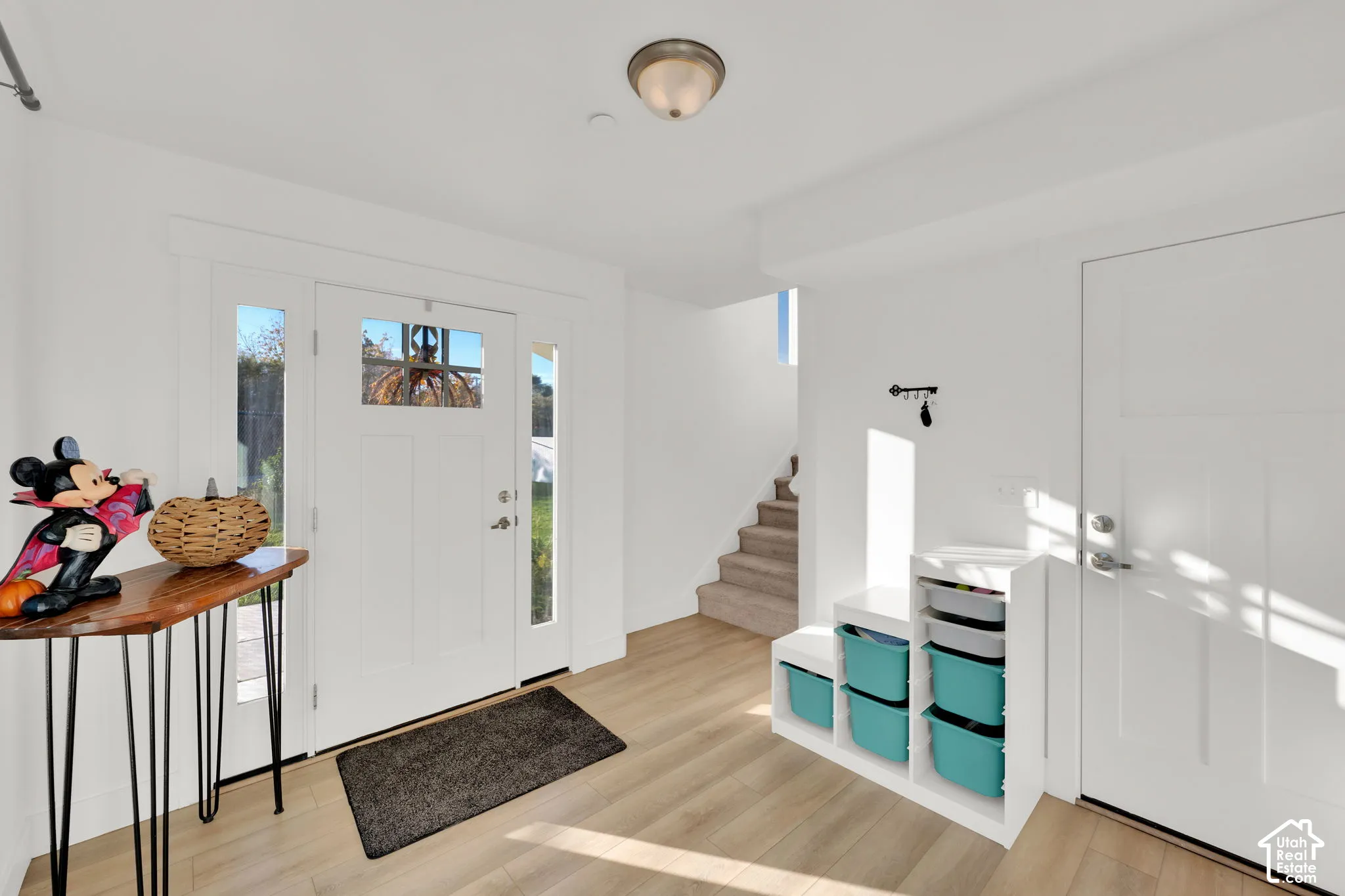Entryway featuring a white exterior door with glass detailing, sidelight windows, wood-finish flooring, and a flush-mount ceiling light fixture