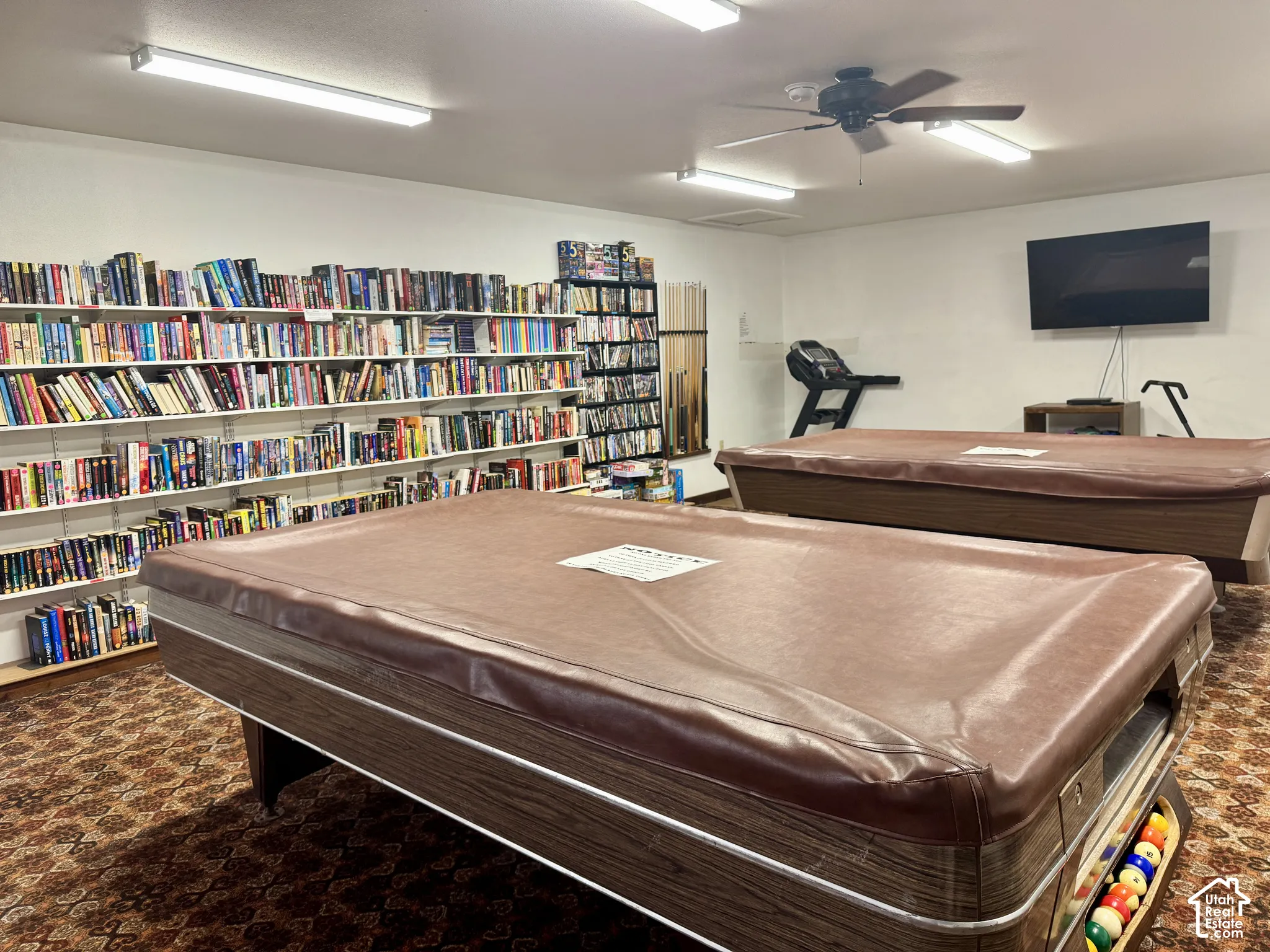 Built-in wall-to-wall shelving, patterned carpeting, ceiling fan, and overhead fluorescent lighting