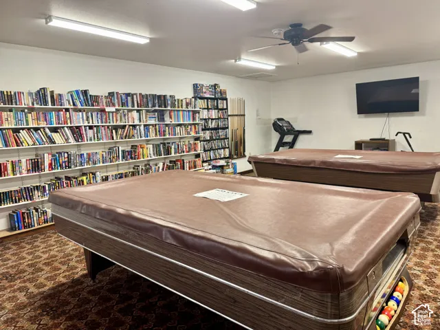 Built-in wall-to-wall shelving, patterned carpeting, ceiling fan, and overhead fluorescent lighting