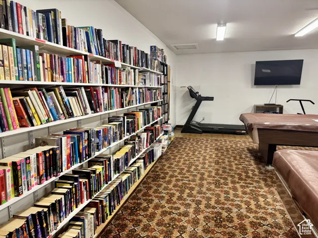 Extensive wall-to-wall adjustable shelving unit and patterned carpeting