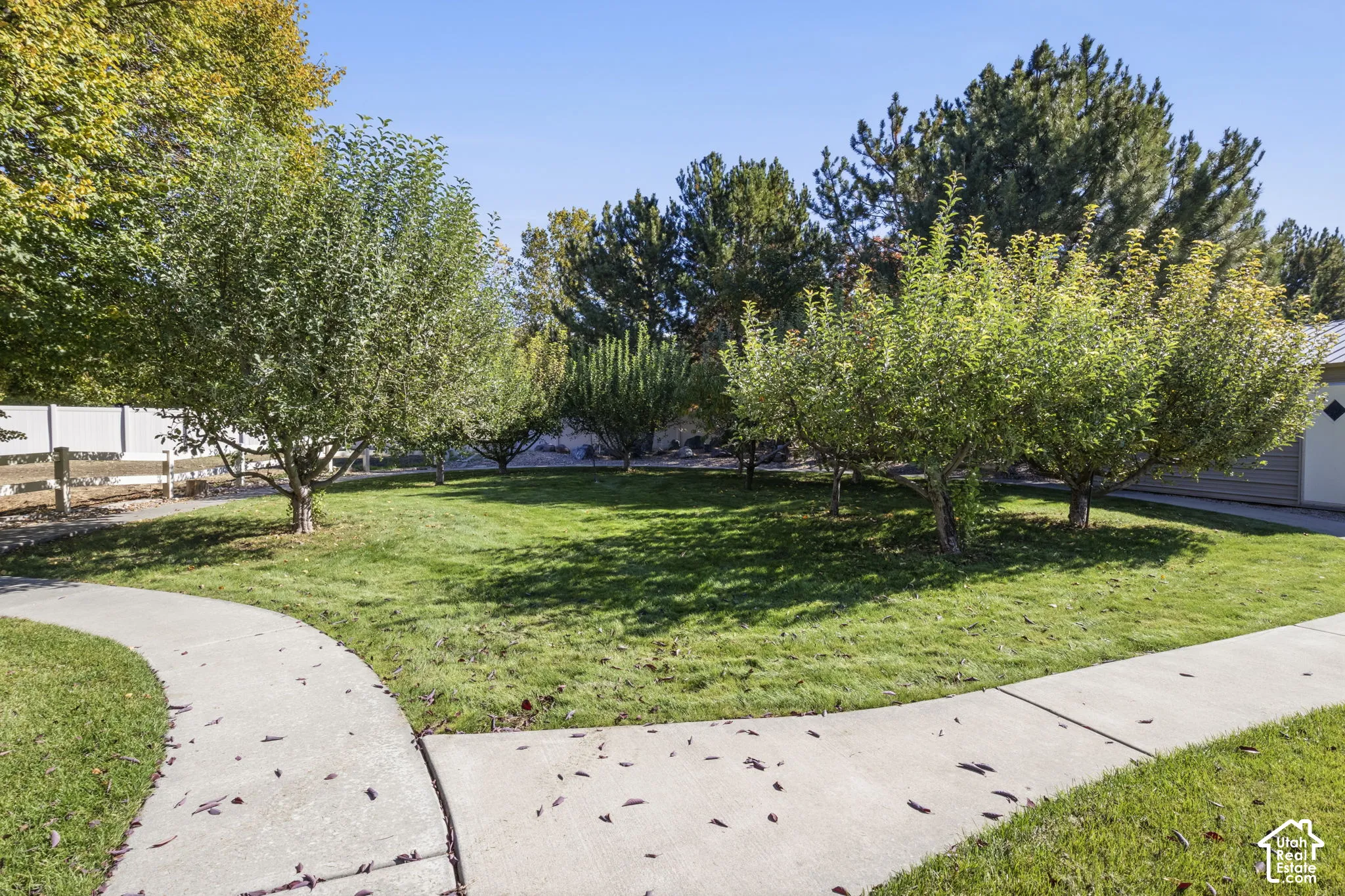 Rear yard featuring a manicured lawn, concrete pathways, mature trees, and vinyl privacy fencing