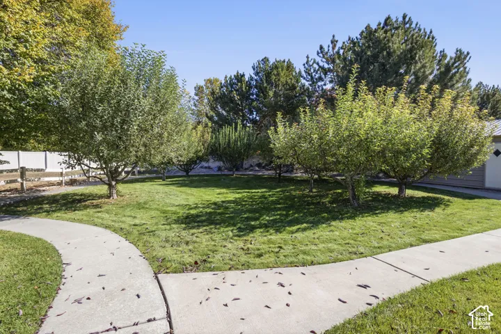 Rear yard featuring a manicured lawn, concrete pathways, mature trees, and vinyl privacy fencing