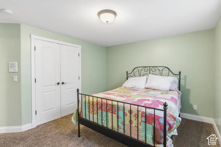 Room featuring neutral-toned carpeting, light green wall finishes, a double-door closet with paneled detailing, and a central dome-style ceiling light fixture