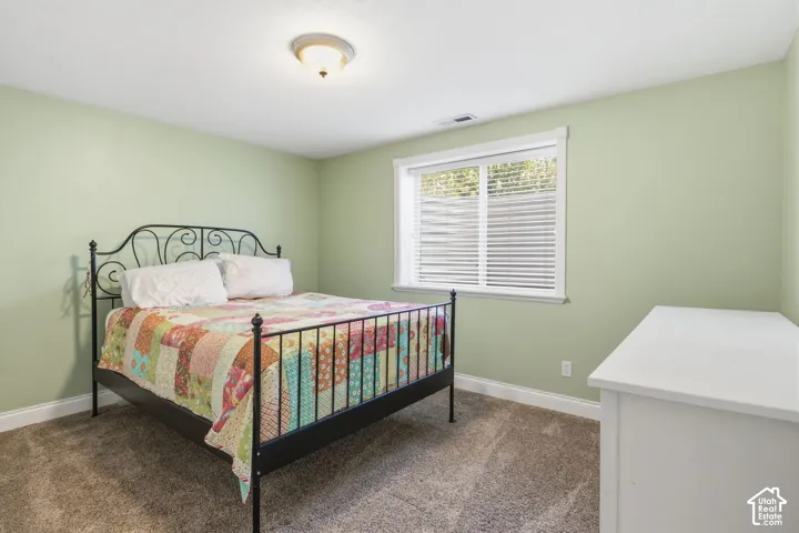 Room featuring wall-to-wall carpeting, a large sliding window with white trim, and a centered dome ceiling light fixture