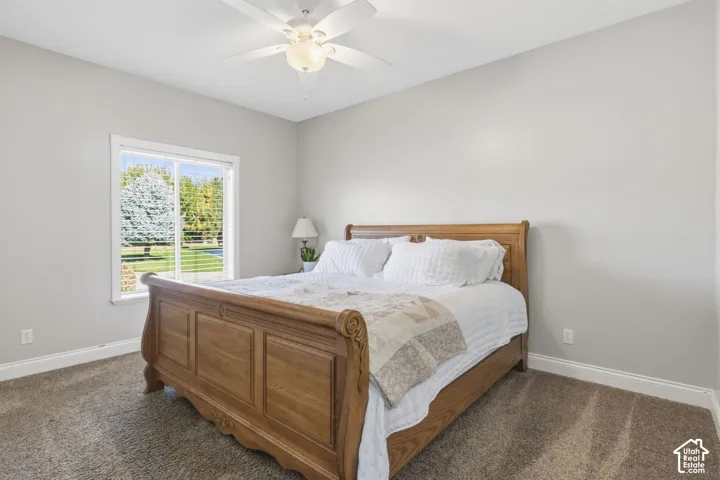 Neutral wall tones, carpeted flooring, sliding window with exterior greenery, and a white ceiling fan with integrated lighting