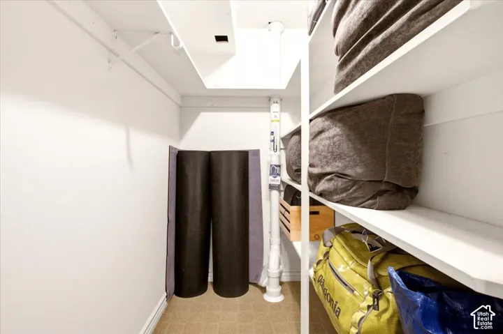 Storage area featuring white built-in shelving and carpeted flooring