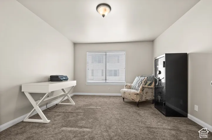 Neutral-toned interior room featuring wall-to-wall carpeting, a center-mount flush lighting fixture, and a single window with installed horizontal blinds