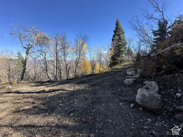 Expansive lot featuring mature aspen and coniferous trees, natural rock outcroppings, and sloping topography
