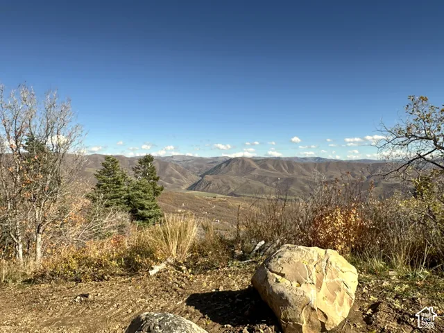Expansive mountain backdrop featuring rolling terrain, evergreen trees, and native vegetation