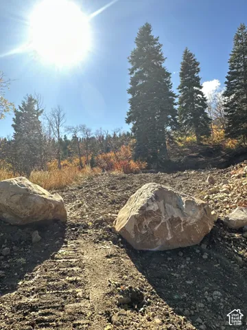 Natural topography featuring large landscape boulders, mature evergreen trees, and native vegetation