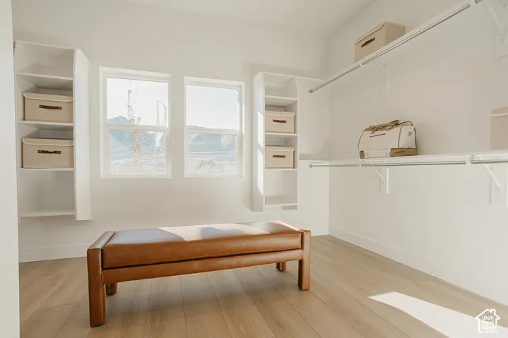 Walk-in closet featuring white built-in shelving, metal hanging rods, dual windows, and wood-finish flooring