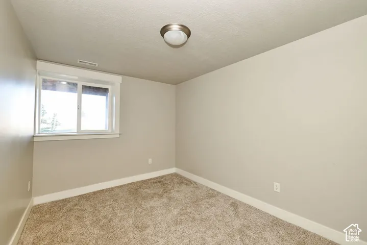 Neutral-toned interior space featuring wall-to-wall carpeting, a sliding window with white trim, and a ceiling-mounted dome light fixture