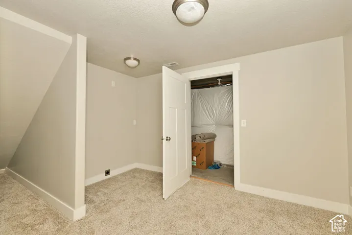 Neutral-toned interior space featuring light-colored wall-to-wall carpeting, flush-mount ceiling light fixtures, a single-panel interior door, and an under-stair storage area