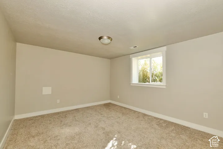 Neutral-toned interior space featuring textured wall-to-wall carpeting, a single-pane sliding window with white trim, and a flush-mount circular ceiling fixture