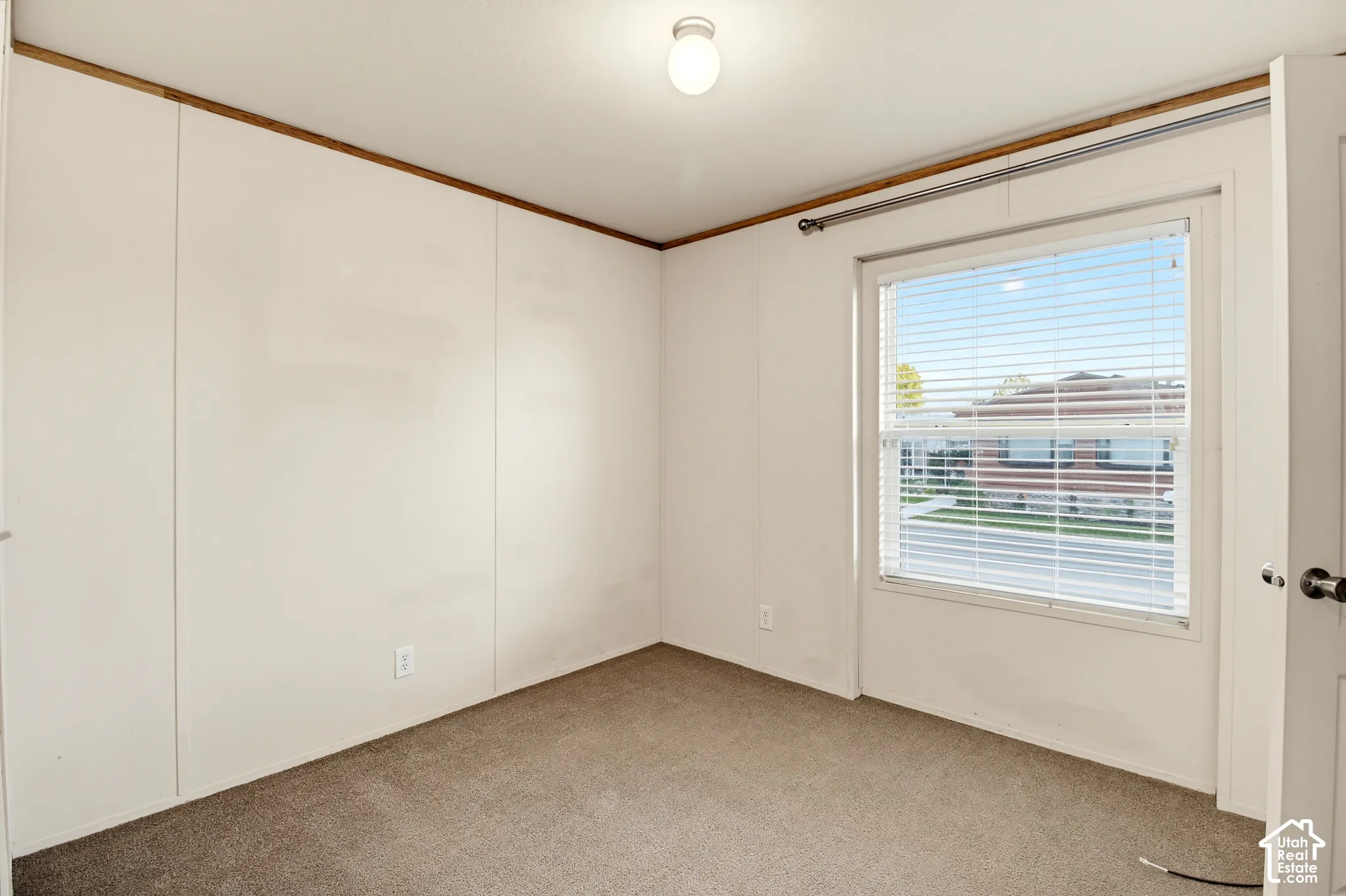 Neutral-toned wall-to-wall carpeting, single-hung window with horizontal blinds, and a central ceiling-mounted light fixture