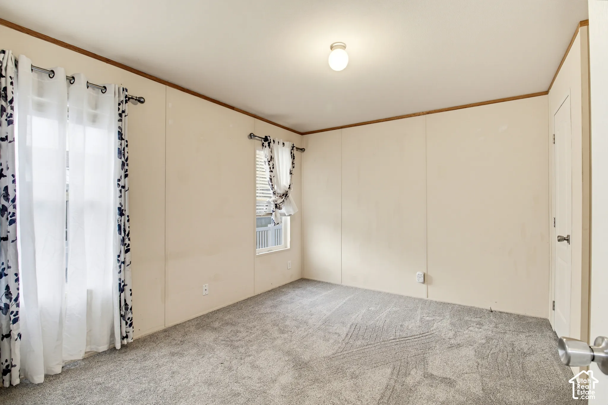 Neutral-toned interior room featuring wall-to-wall carpeting, dual windows, ceiling-mounted lighting, and a single-panel interior door
