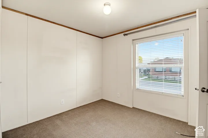 Neutral-toned wall-to-wall carpeting, single-hung window with horizontal blinds, and a central ceiling-mounted light fixture