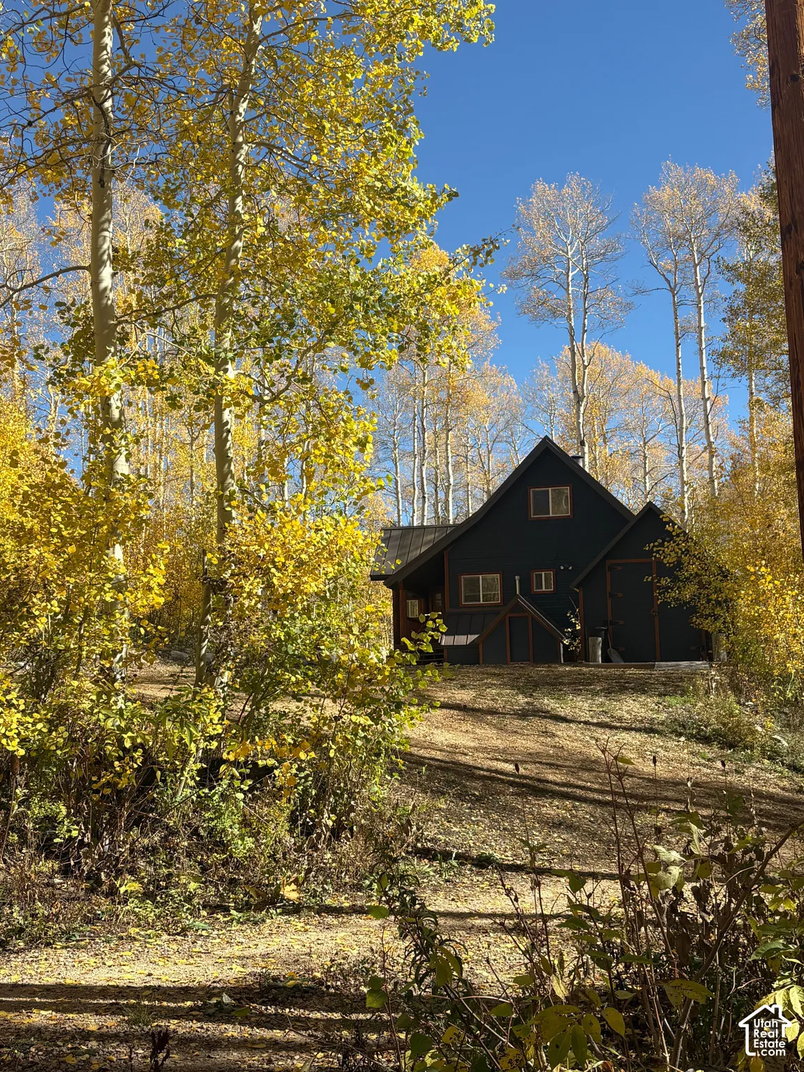 Dark-toned exterior siding with a pitched roofline, positioned on a sloped lot surrounded by mature aspen trees