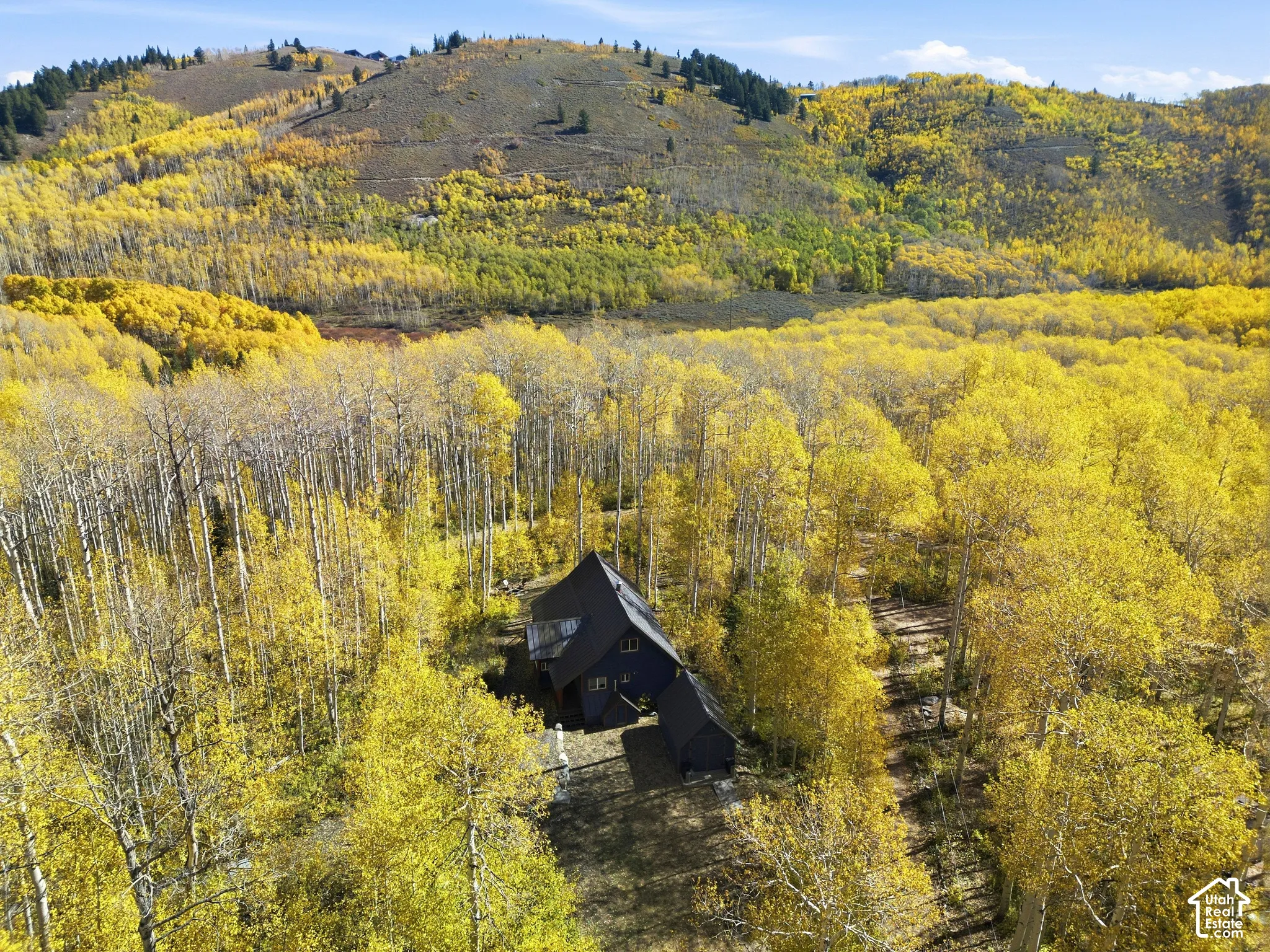 A-frame residence featuring a steeply pitched roofline and dark exterior siding, nestled within a forest of mature aspen trees against a mountain backdrop