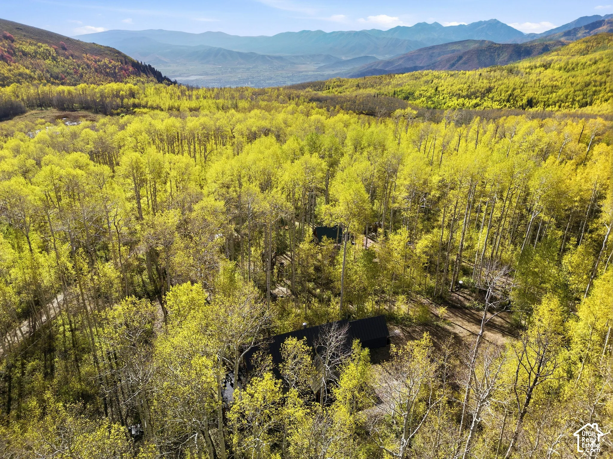 Aerial perspective of a property nestled within a dense forest of mature aspen trees, featuring a dark metal roof structure and an expansive mountain range backdrop