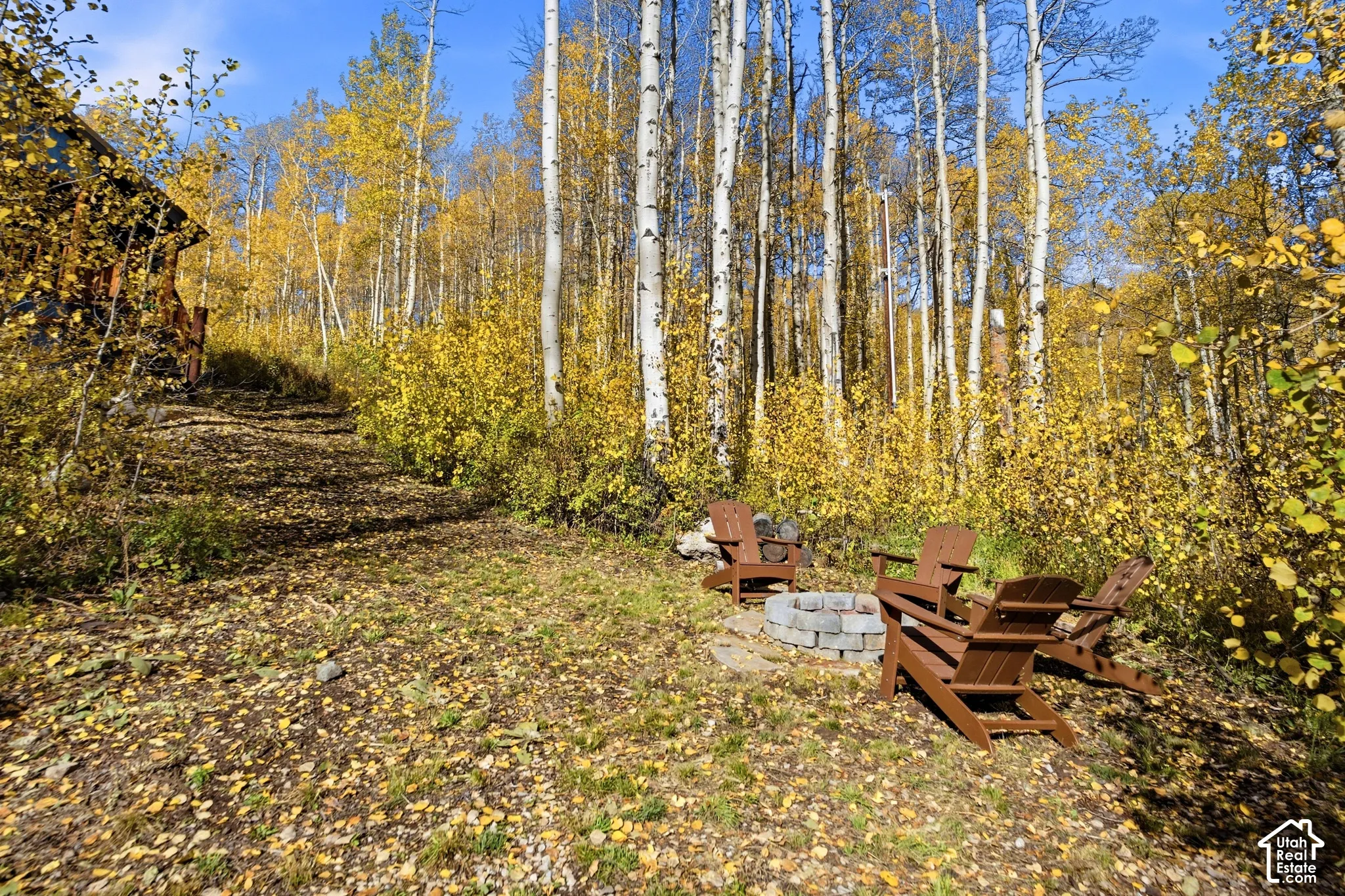 Natural setting featuring mature aspen trees and a stone-encased fire pit