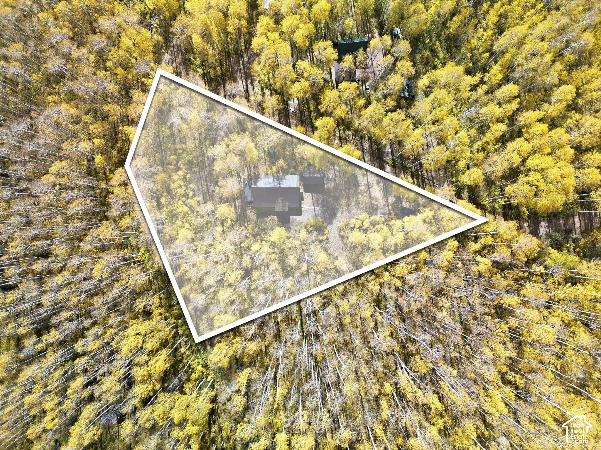 Aerial perspective of a multi-structure property parcel featuring dense forestation and mature trees
