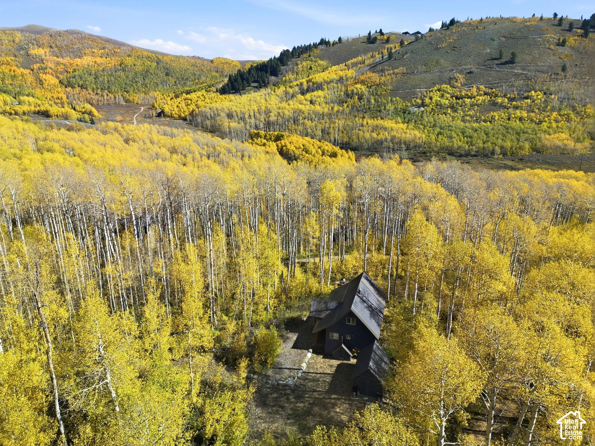 Structural composition featuring a pitched roof, dark exterior siding, and a secluded woodland setting surrounded by mature aspen trees and mountainous terrain