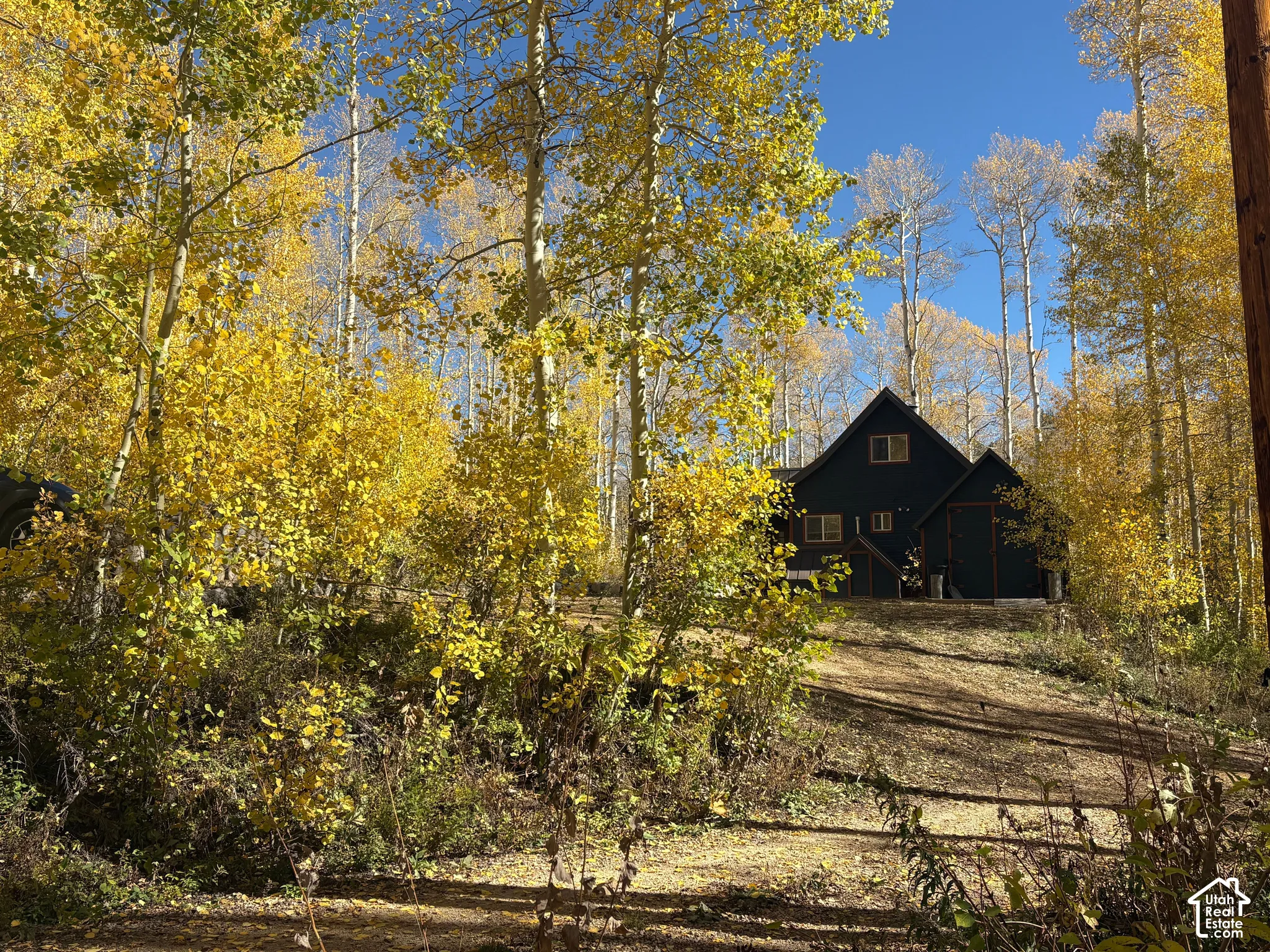 Dark-toned exterior siding featuring a multi-gabled roofline, situated amidst mature trees