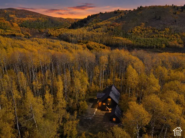 Dark-toned exterior structure with a pitched roofline, situated within a dense forest of mature trees amidst a mountain landscape