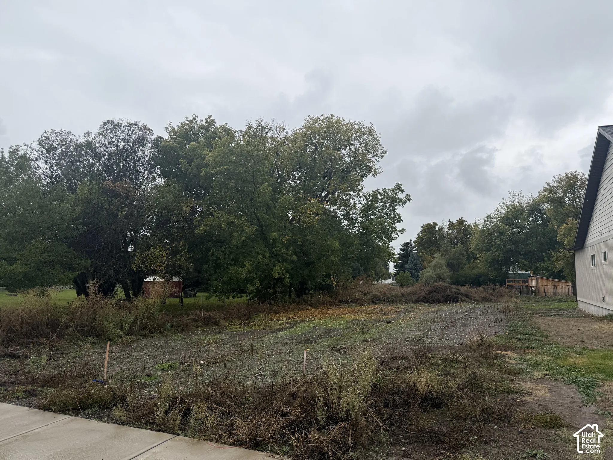 Open lot featuring level ground, mature trees, and concrete sidewalk access